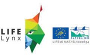 logo life lynx