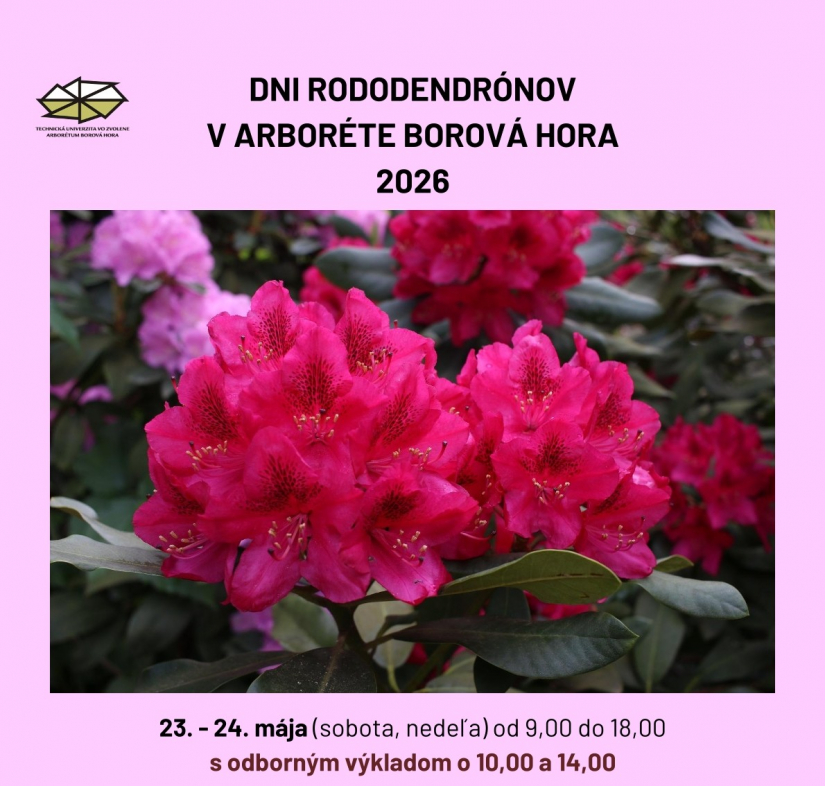 Dni rododendronov 2026