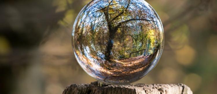 FAKULTA EKOLÓGIE A ENVIRONMENTALISTIKY