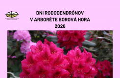 Dni rododendronov 2026
