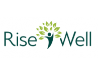 RISE-WELL: cRitIcal Solutions for Elderly WELL-being